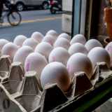 �Fino agli anni 60 si consumavano solo queste - commenta Sabino - perch� le sole galline allevate erano le "livornesi", caratterizzate da piume bianche...